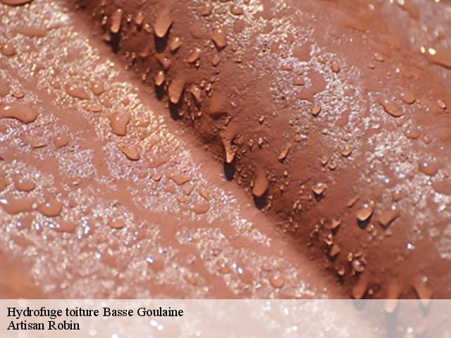 Hydrofuge toiture  basse-goulaine-44115 Artisan Robin