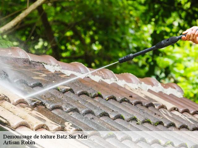 Demoussage de toiture  batz-sur-mer-44740 Artisan Robin