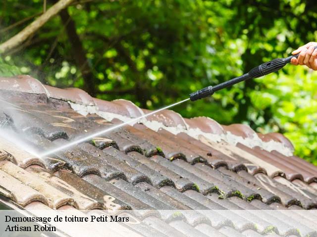 Demoussage de toiture  petit-mars-44390 Artisan Benoit