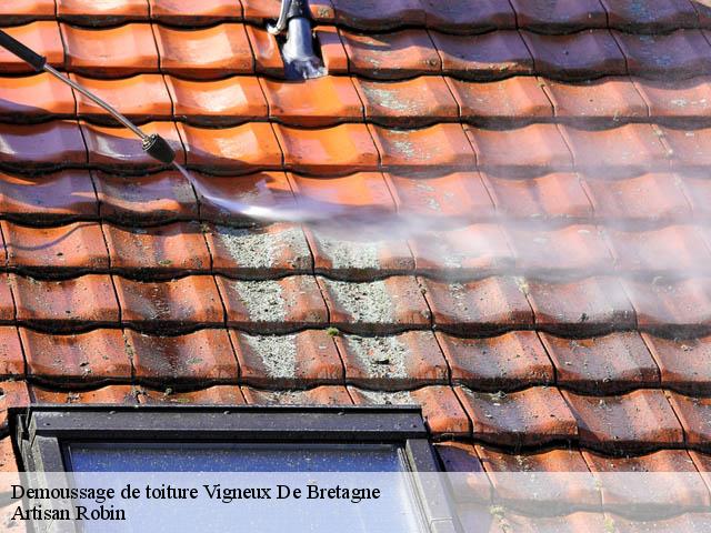 Demoussage de toiture  44360