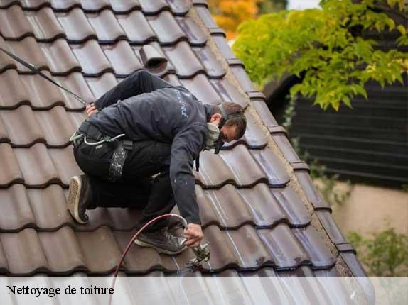 Nettoyage de toiture Loire-Atlantique 