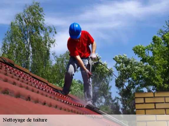 Nettoyage de toiture Loire-Atlantique 