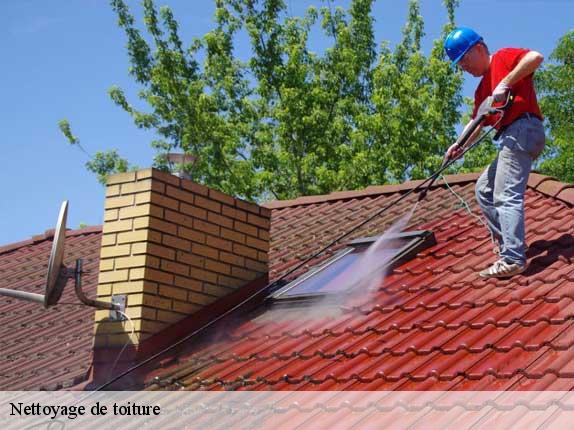 Nettoyage de toiture Loire-Atlantique 
