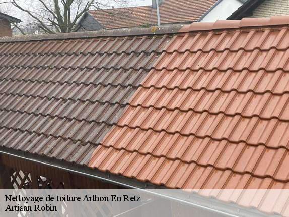 Nettoyage de toiture  arthon-en-retz-44320 Artisan Robin