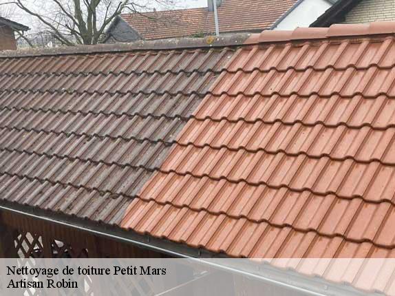 Nettoyage de toiture  petit-mars-44390 Artisan Robin