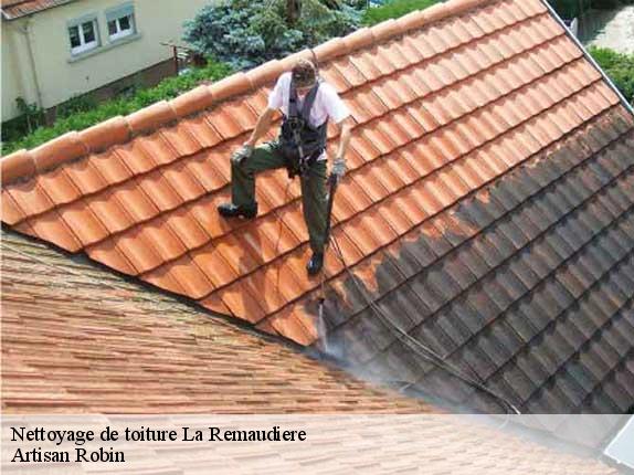 Nettoyage de toiture  44430