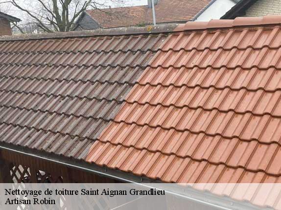 Nettoyage de toiture  saint-aignan-grandlieu-44860 Artisan Robin