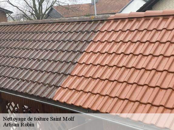 Nettoyage de toiture  saint-molf-44350 Artisan Robin