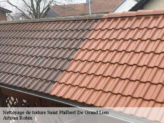 Nettoyage de toiture  saint-philbert-de-grand-lieu-44310 Artisan Robin