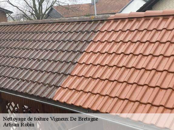 Nettoyage de toiture  vigneux-de-bretagne-44360 Artisan Robin