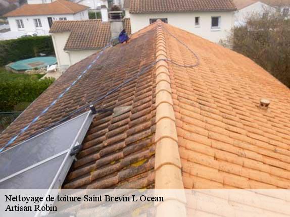 Nettoyage de toiture  44250