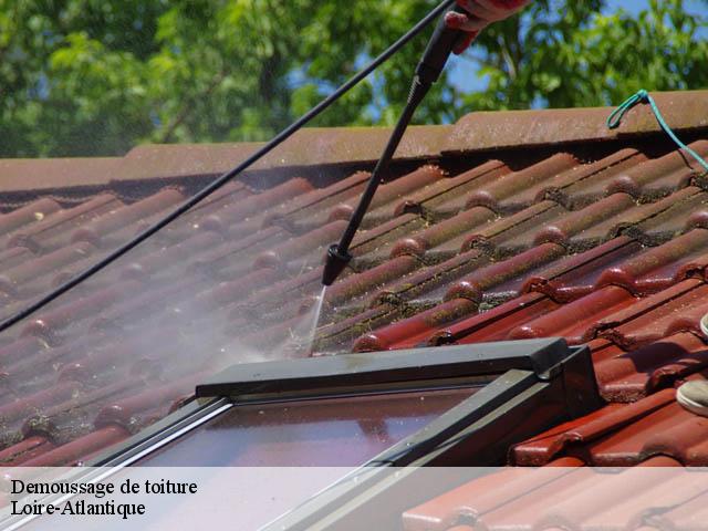 Demoussage de toiture Loire-Atlantique 