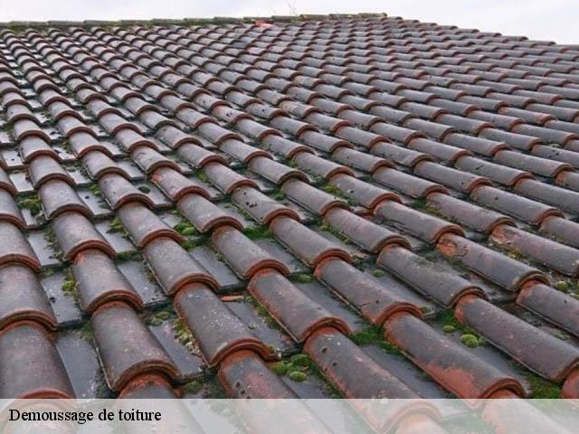 Demoussage de toiture Loire-Atlantique 