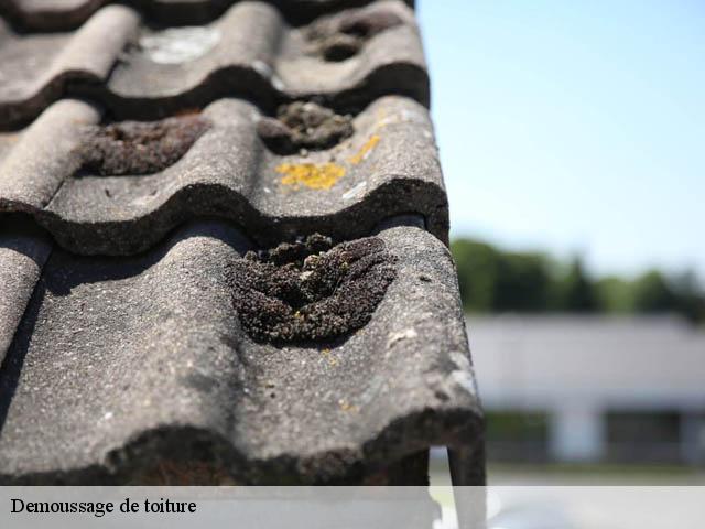 Demoussage de toiture Loire-Atlantique 